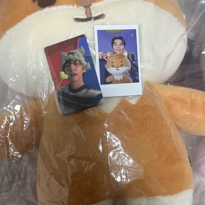 [SOLD OUT] (미개봉) 데이식스 자이언트 쁘띠멀즈 케 자쁘멀