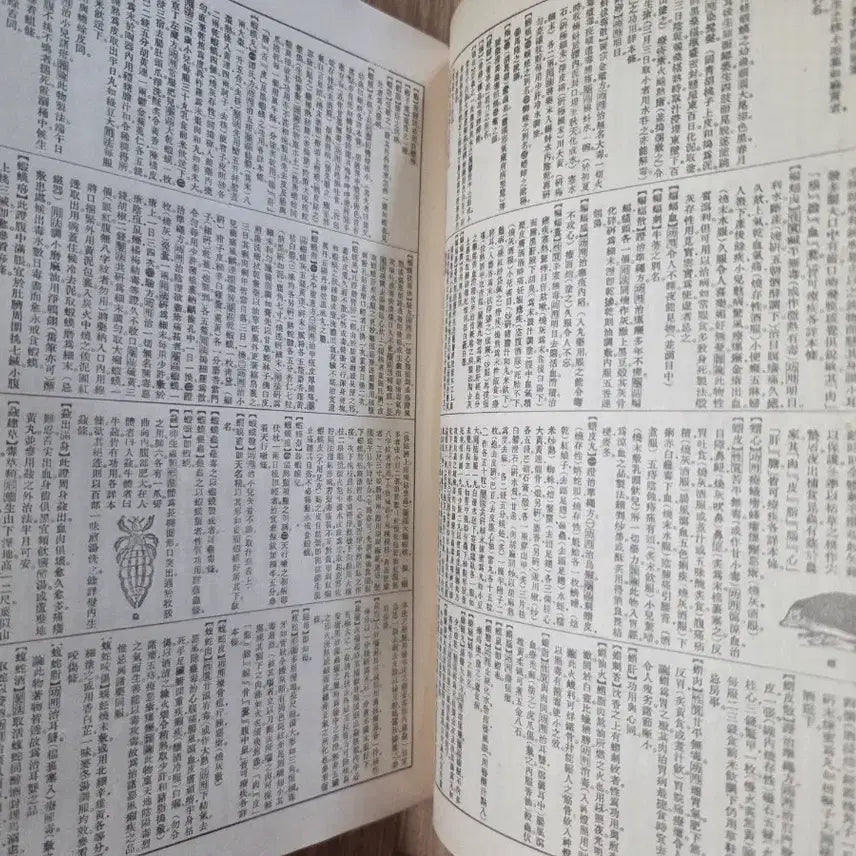 [BUNJANG] 일제강점기 소화13년 조선 경성 동양 의학 대사전 / 일제강점기 소화13년 조선 경성 동양 의학 대사전