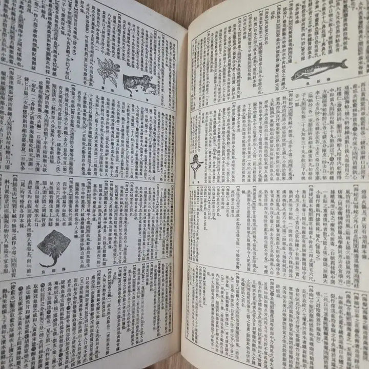 [BUNJANG] 일제강점기 소화13년 조선 경성 동양 의학 대사전 / 일제강점기 소화13년 조선 경성 동양 의학 대사전