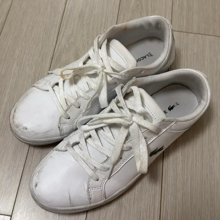 [BUNJANG] Lacoste Sneakers / 라코스테 스니커즈
