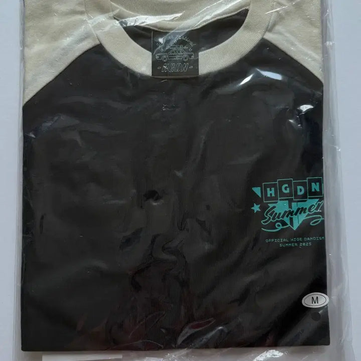 [SOLD OUT] 히게단 나츠페스 반팔 티셔츠 M사이즈