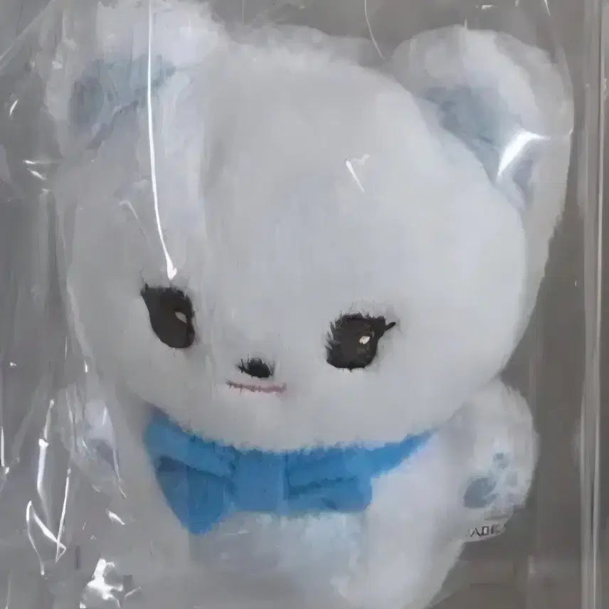 [SOLD OUT] 아스트로 차은우 인형 차곰돌