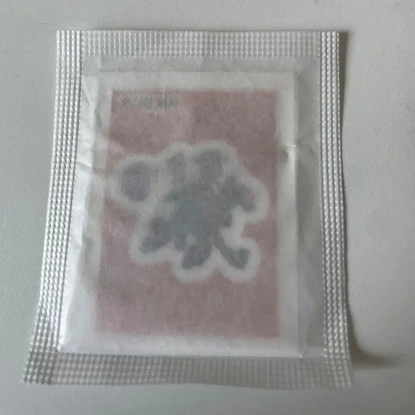 [SOLD OUT] 스타벅스 토이스토리 띠부씰 우디와제시