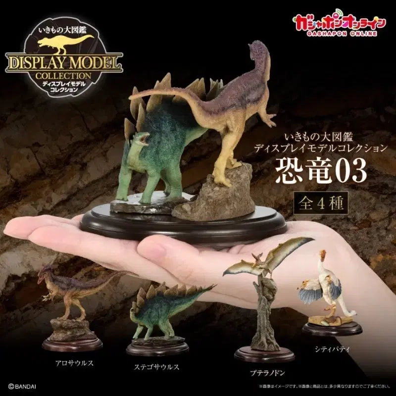 [SOLD OUT] 반다이 생물대도감 공룡 피규어 1~3 세트 판매