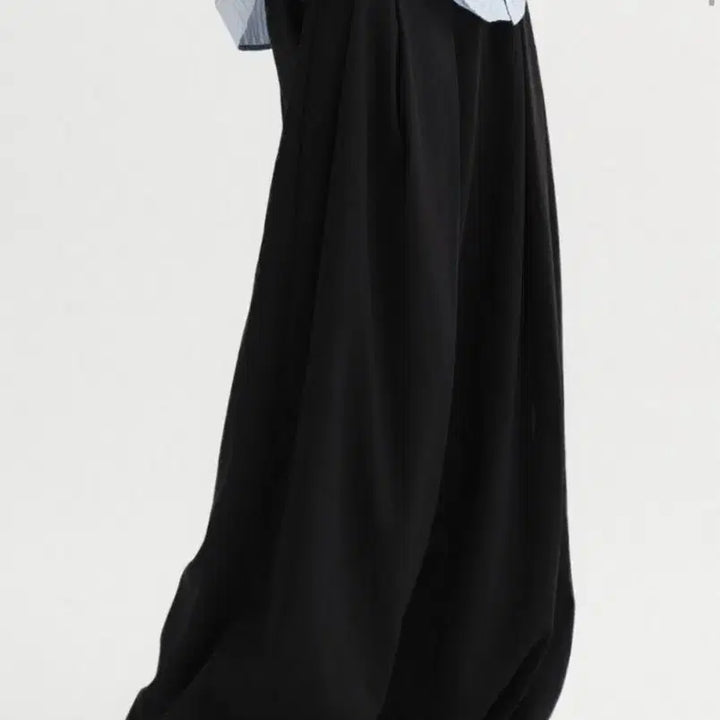[BUNJANG] DNSL Multi Pleats Wide Slacks / [L] 디엔에스알 멀티 플리츠 와이드 슬랙스