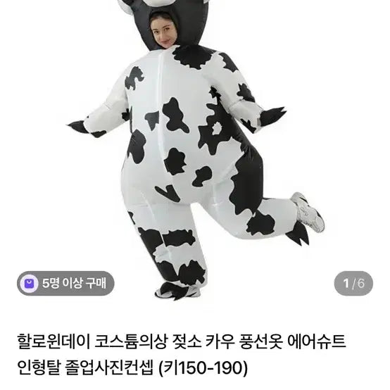 [BUNJANG] Cow Suit Rental / 졸사 젖소슈트 대여