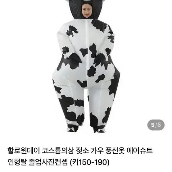 [BUNJANG] Cow Suit Rental / 졸사 젖소슈트 대여