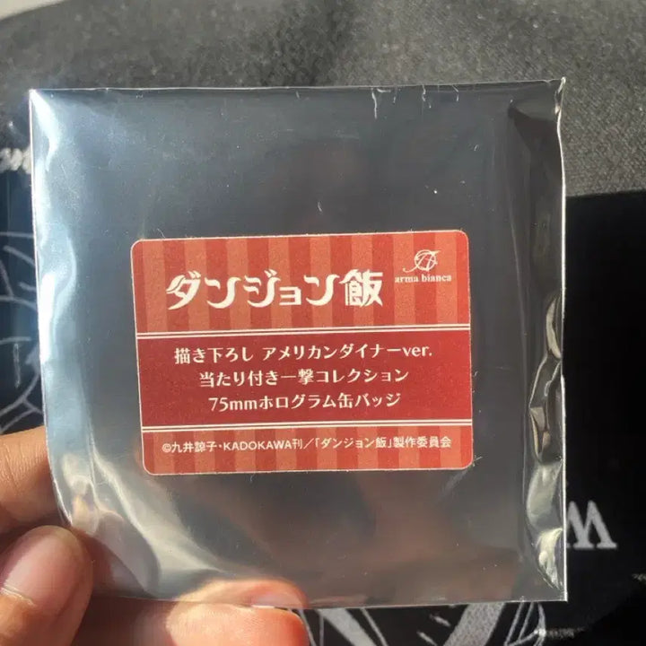 [BUNJANG] Dungeon Meshi Can Badge / 던전밥 캔뱃지