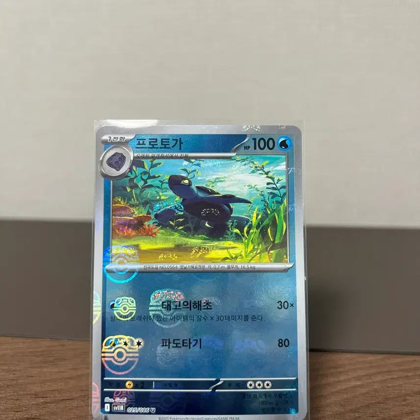 [BUNJANG] Pokemon Card Proto Gengar Master Ball 025/086 / 포켓몬카드 프로토가 마스터볼 025/086