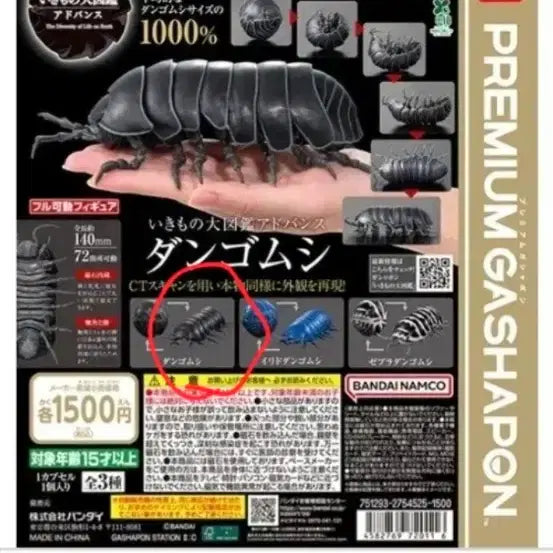 [SOLD OUT] 생물대도감 어드벤스 당고무시(공벌레)