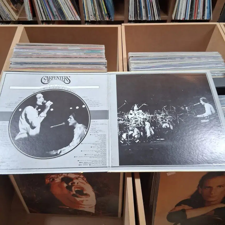 [SOLD OUT] 희귀 카펜터즈 Live in Japan 더블  LP 음반