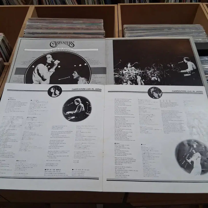 [SOLD OUT] 희귀 카펜터즈 Live in Japan 더블  LP 음반