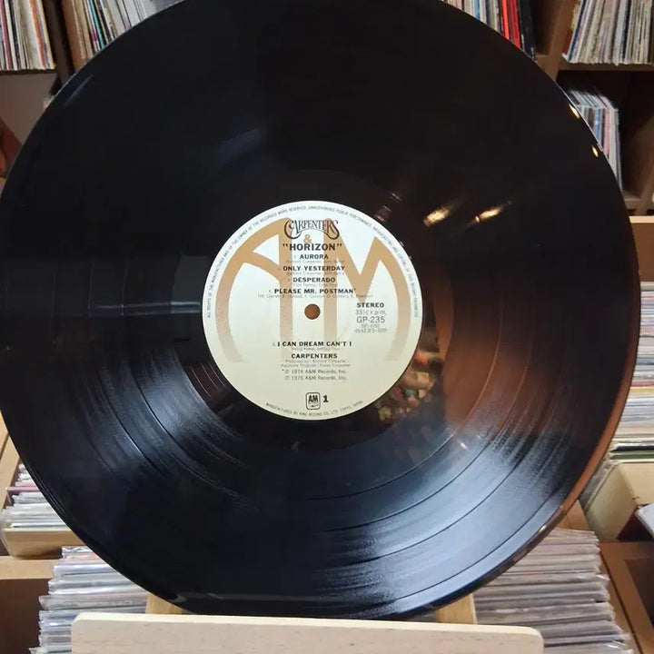 [SOLD OUT] 자켓도 이쁜 Carpenters 카펜터스 LP 레코드