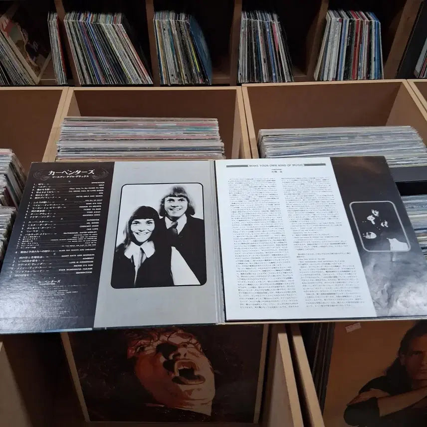 [SOLD OUT] 소장가치 빈티지 카펜터스 (CARPENTERS) 더블 LP