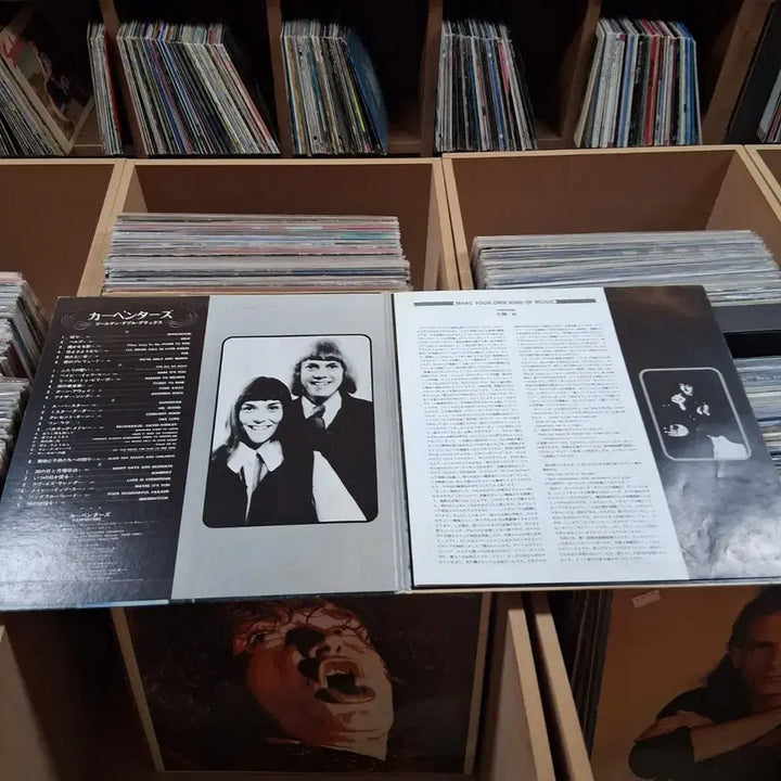 [SOLD OUT] 소장가치 빈티지 카펜터스 (CARPENTERS) 더블 LP