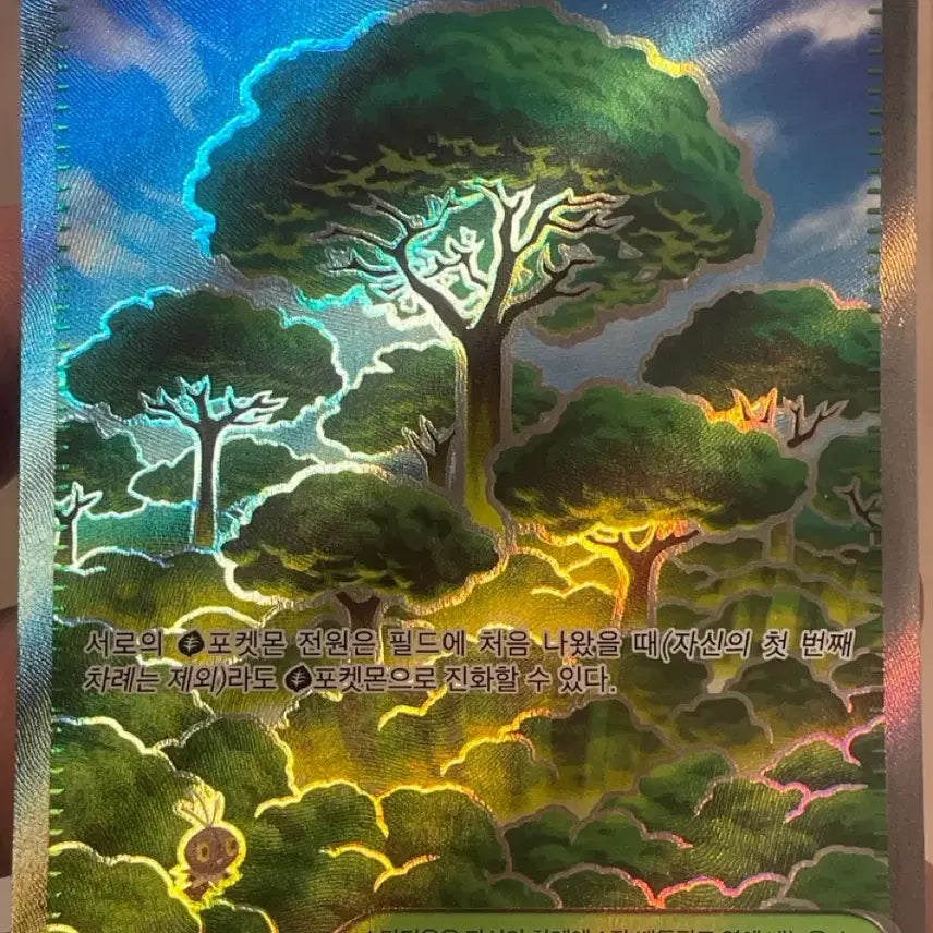[SOLD OUT] 포켓몬카드 활력의 숲 SR