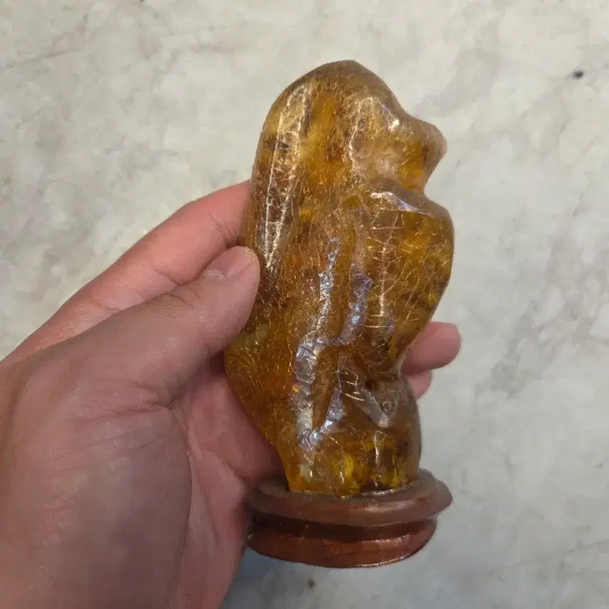 [BUNJANG] Russian Amber 160g with Stand / 러시아호박 160g 좌대포함