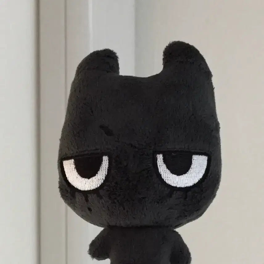 [BUNJANG] BOYNEXTDOOR TaeSan TaeNyaCo Doll / 보넥도 태산 태냐코