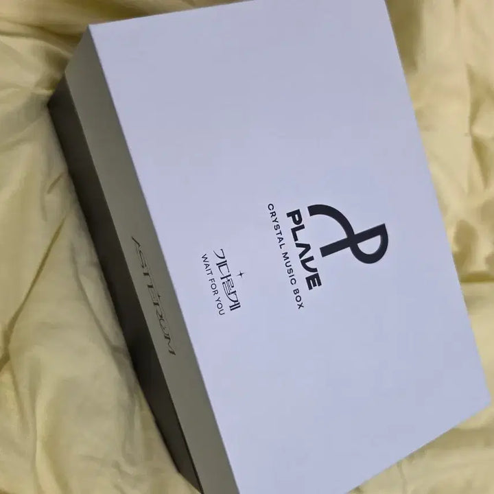 [SOLD OUT] 플레이브 기다릴게 오르골