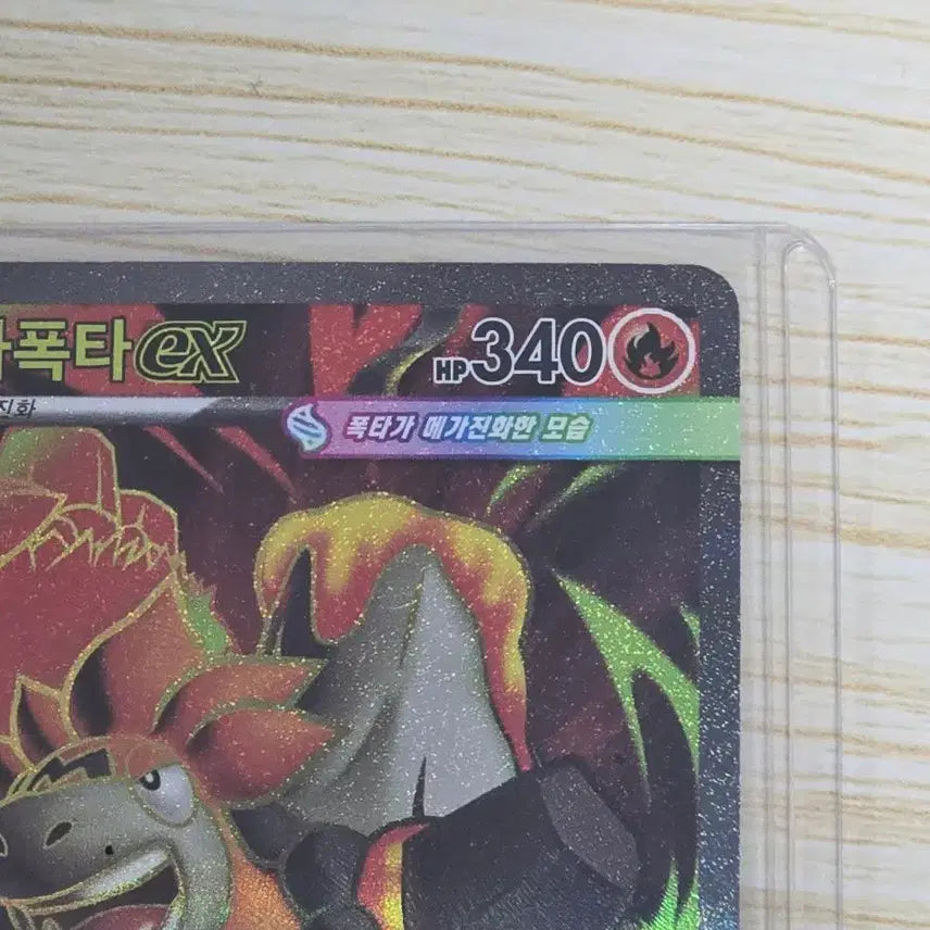[BUNJANG] Pokemon Mega Camerupt EX SR Card / 포켓몬카드 메가 폭타 ex SR