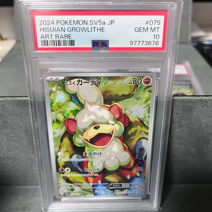 [SOLD OUT] 포켓몬카드 일판 psa10 세류 sar, 하스이 가디 ar, 세류 sr