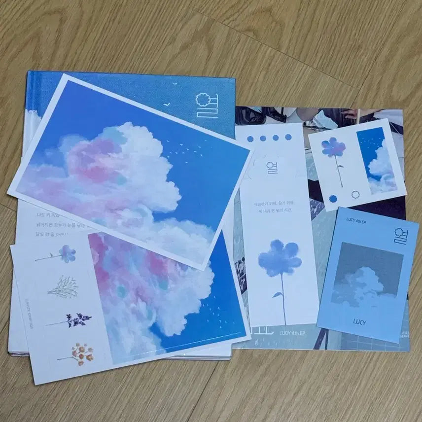 [SOLD OUT] 루시 차일드후드, 열 앨범 판매