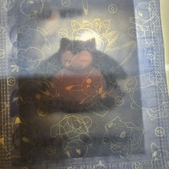 [SOLD OUT] 포켓몬빵 30주년 띠부씰 모음 (급처)