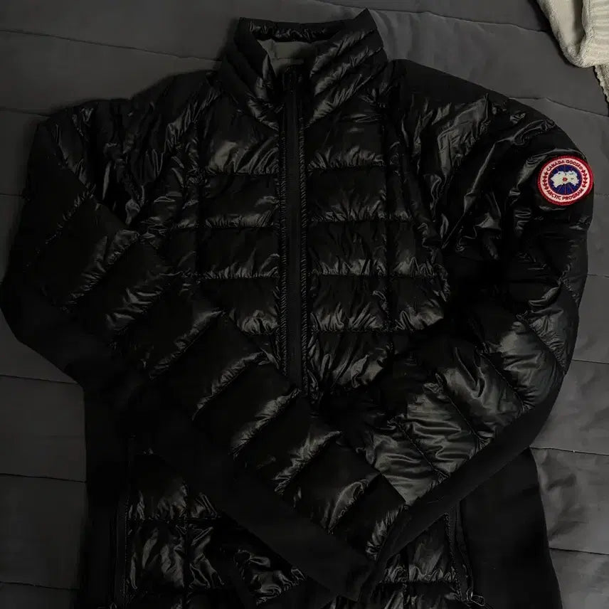 [SOLD OUT] 캐나다구스 경량패딩 교신 ㄱㄴ