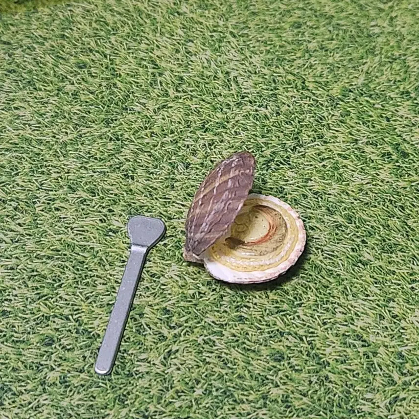 [BUNJANG] Re-Ment Scallop Miniature / 리멘트-가리비