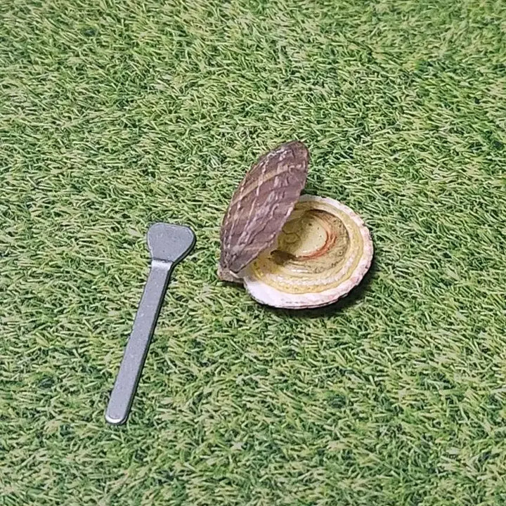 [BUNJANG] Re-Ment Scallop Miniature / 리멘트-가리비