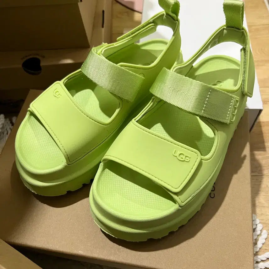 [SOLD OUT] UGG 어그 골든글로우 카테필라 샌들
