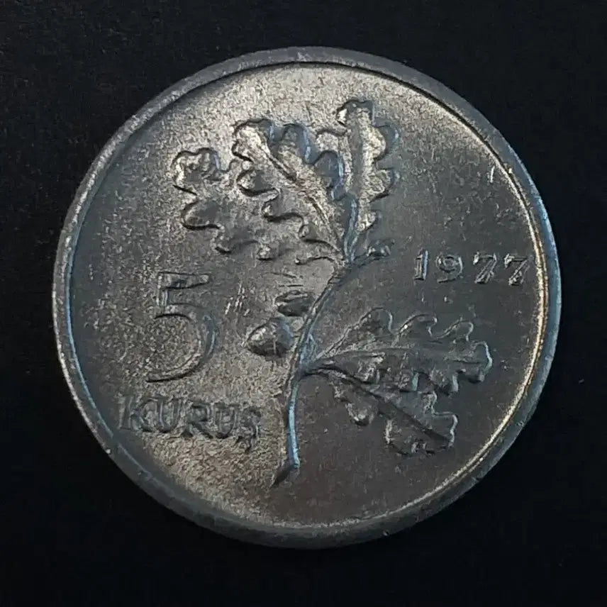 [BUNJANG] 1977 Turkish 5 Kurus Coin / 1977년 터키 5쿠루스 동전 w433
