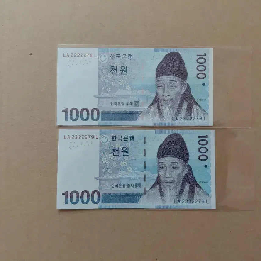 [SOLD OUT] 특이 연결 번호 (2종) 오리지널 [파이브카]