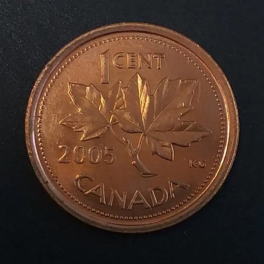 [BUNJANG] 2005 Canadian 1 Cent Coin / 2005년 캐나다 1센트 동전 w447