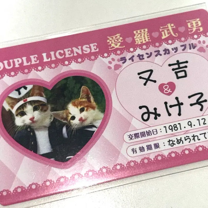 [SOLD OUT] (일괄) 나메네코 애인증 불량고양이 카드 일본 고전