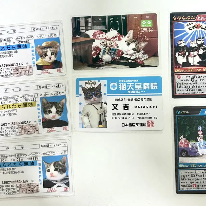 [SOLD OUT] (일괄) 나메네코 애인증 불량고양이 카드 일본 고전