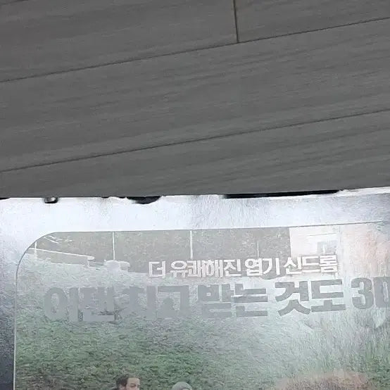 [BUNJANG] Jackass 3D (2011) Promotional Flyer / 제프트레마인감독 조니녹스빌 잭애스3D(2011년)전단지