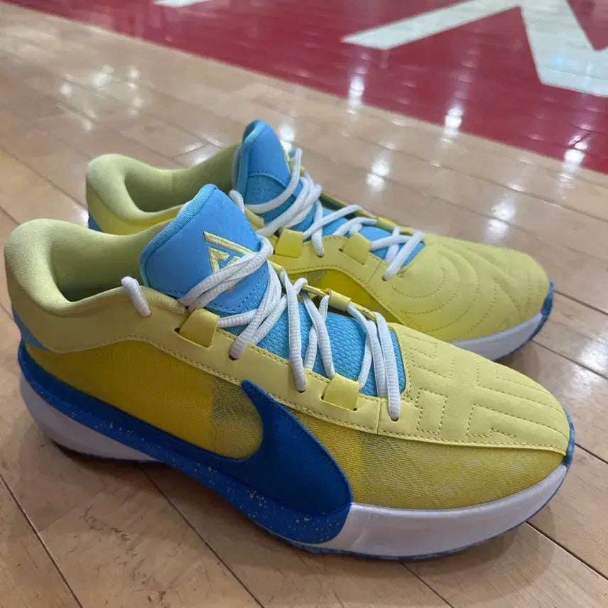 [BUNJANG] Nike Zoom Freak 5 Sneakers / 나이키 줌프릭5 285