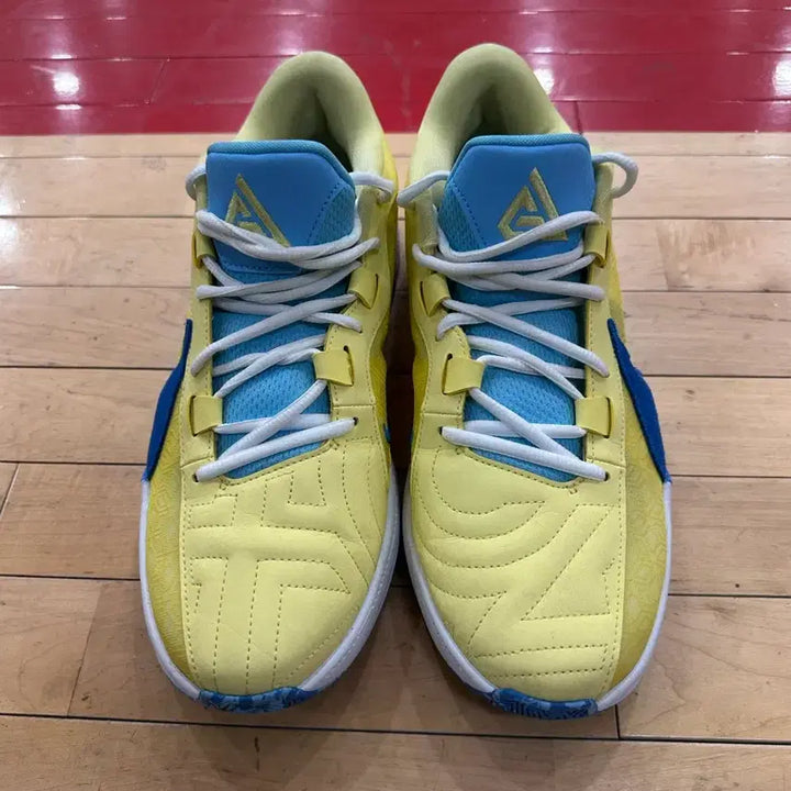 [BUNJANG] Nike Zoom Freak 5 Sneakers / 나이키 줌프릭5 285
