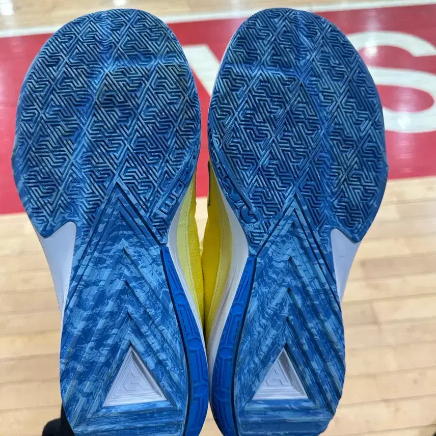 [BUNJANG] Nike Zoom Freak 5 Sneakers / 나이키 줌프릭5 285