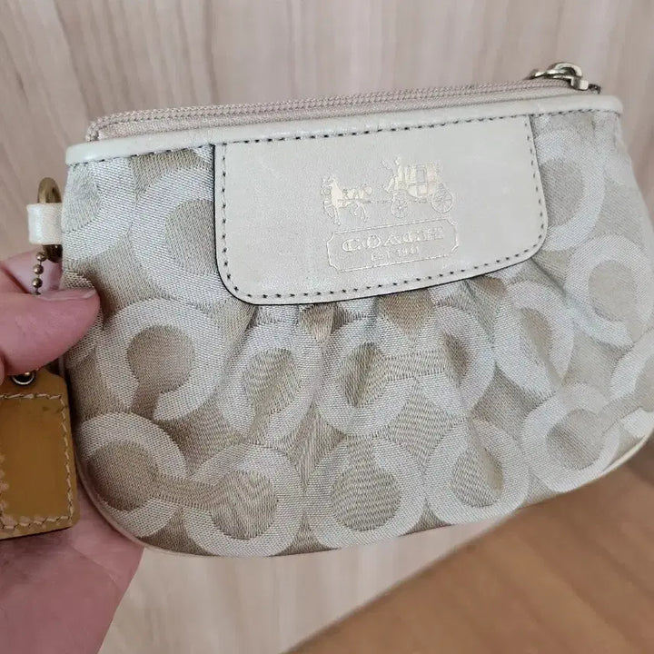 [BUNJANG] Coach Signature Mini Pouch Bag / 코치 시그니처 미니 파우치 백