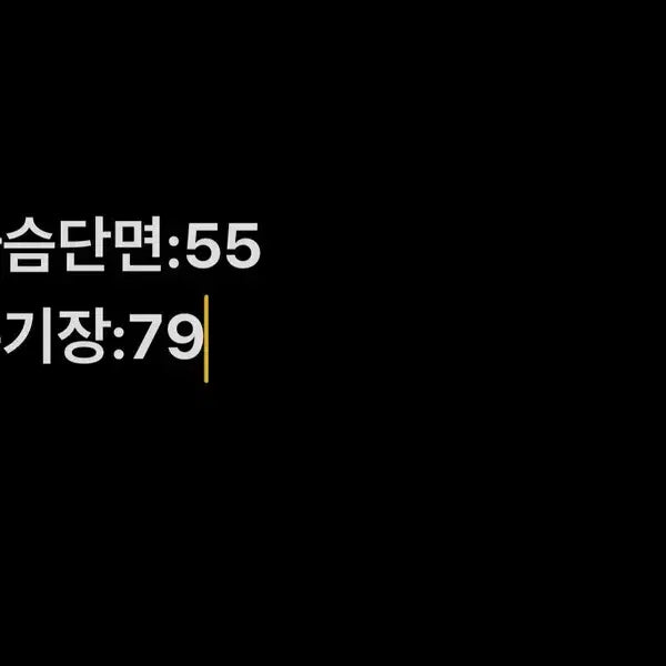 [SOLD OUT] [정품/95] 헤지스 남성 점퍼   OO