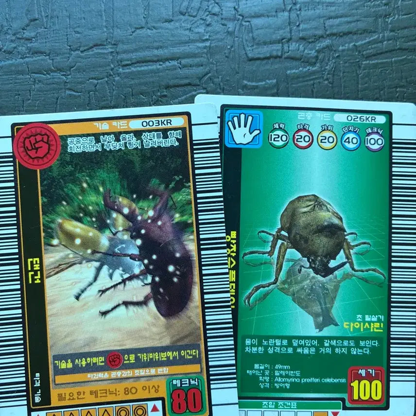 [BUNJANG] Insect Card (Set of 2) / 곤충 카드 2장