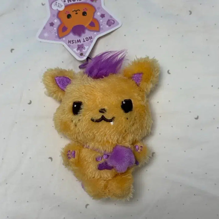 [SOLD OUT] 시오닝