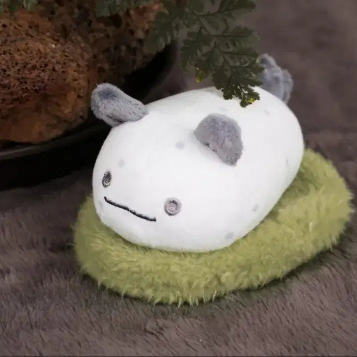 [SOLD OUT] 초 카구야 팝업 후시 인형 팝니다