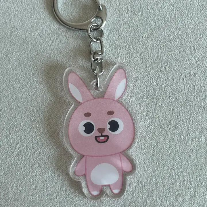 [SOLD OUT] 데이식스 DAY6 팝업 데니멀즈 김원필 원필 필끼 아크릴 키링