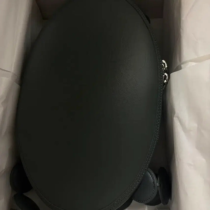 [SOLD OUT] 밤볼레 가방 그린 컬러 (1회 착용)