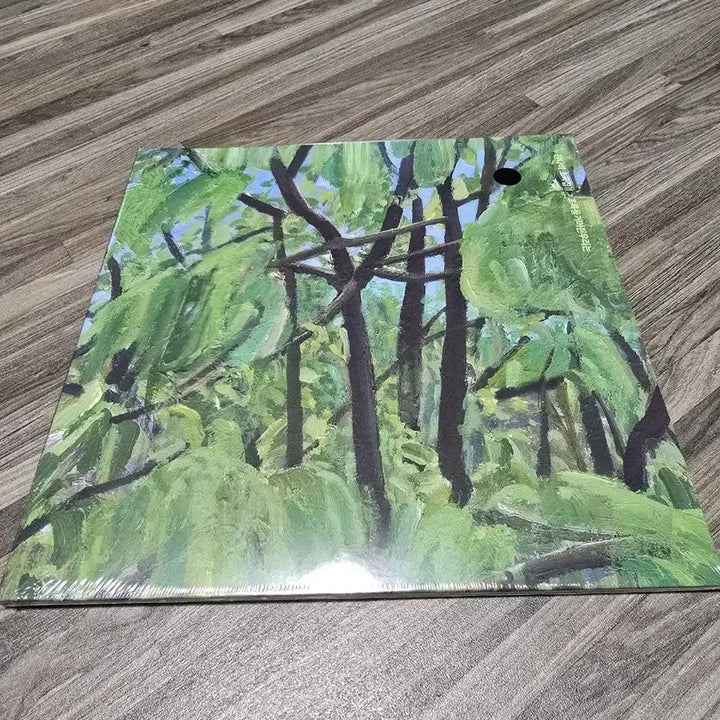[SOLD OUT] 미개봉 잔나비lp3종 일괄