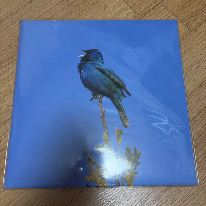 [SOLD OUT] 윤지영lp