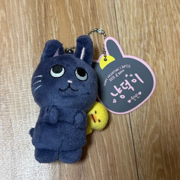[BUNJANG] RIIZE Wonbin Tonyangduck 10cm Doll / 라이즈 원빈 동글동글 이쁜 토냥덕 10cm 팝니다 (키링도 드려용)